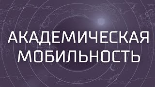 Стипендиальные программы Германской службы академических обменов DAAD
