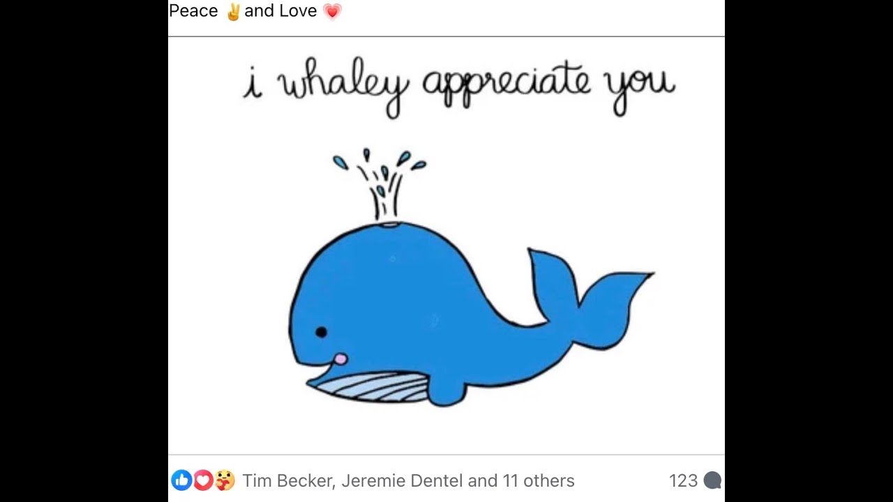 Tim B Appreciation 🙌 - YouTube