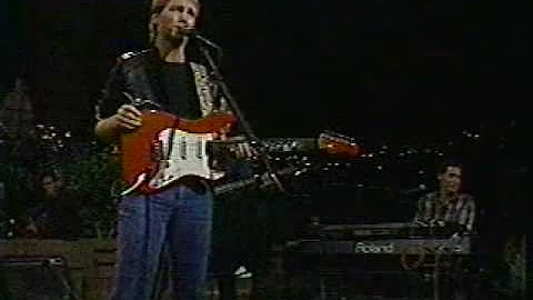 Steve Wariner -- Lonely Women Make Good Lovers