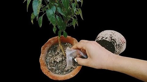 Worlds Easiest Compost Method - How To Compost Literally Anything - Ideal For Beginners