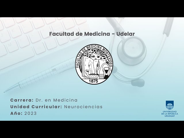Células en grilla y células de lugar