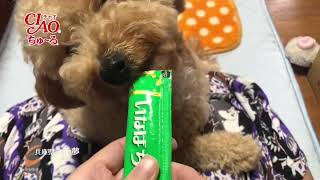 【いなば ちゅーる】犬だけどね！