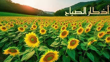 أذكار الصباح | الشيخ أحمد النفيس