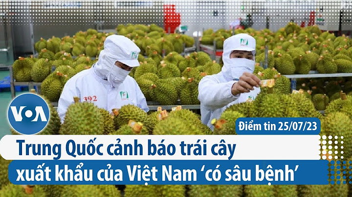 Trung Quốc cảnh báo trái cây xuất khẩu của Việt Nam ‘có sâu bệnh’ | Điểm tin VN | VOA Tiếng Việt
