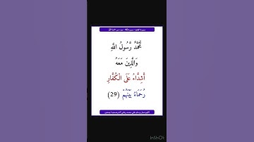 سورة الفتح - سورة 48 - اية 29
