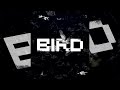 7adri  bird  music audio 