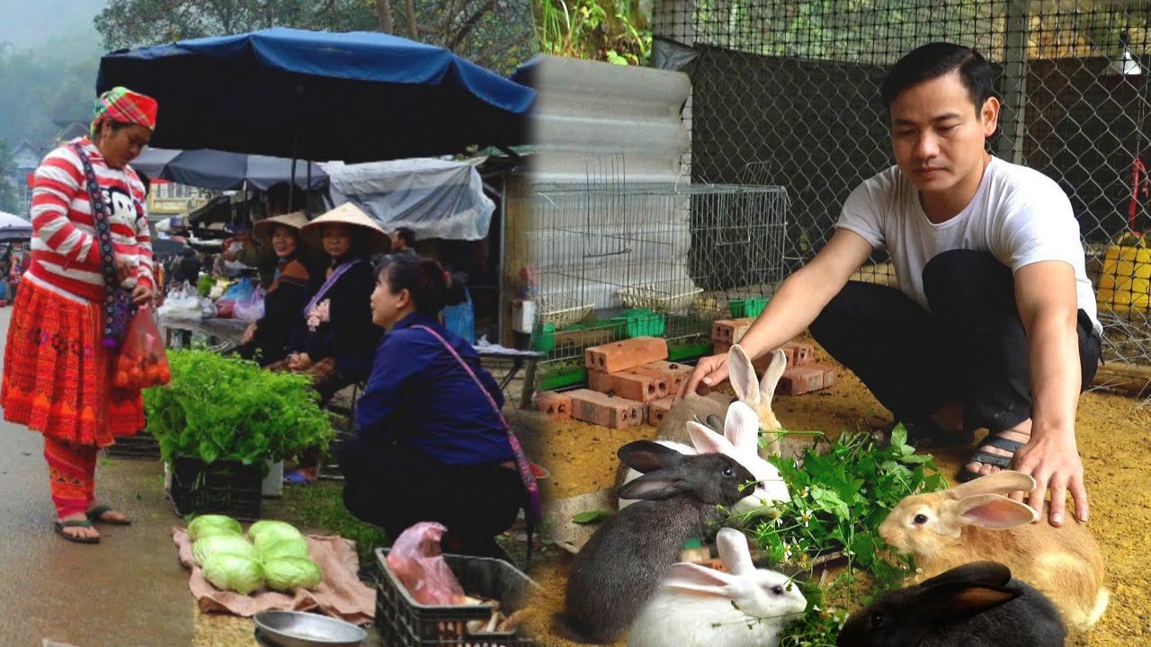 CEO happily renovated the farm, while the single mother harvested green cabbage sold it the market.