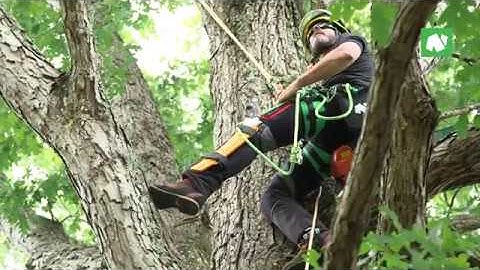 Notch Equipment Sentinel Harness