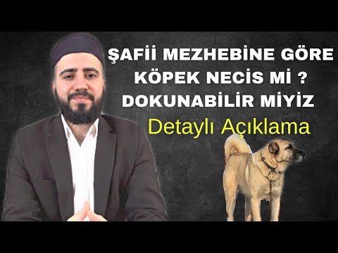 ŞAFİİ MEZHEBİNE GÖRE KÖPEK NECİS Mİ ? KÖPEK NEDEN HARAMDIR ŞAFİİ MEZHEBİ - TAHA CENGİZ