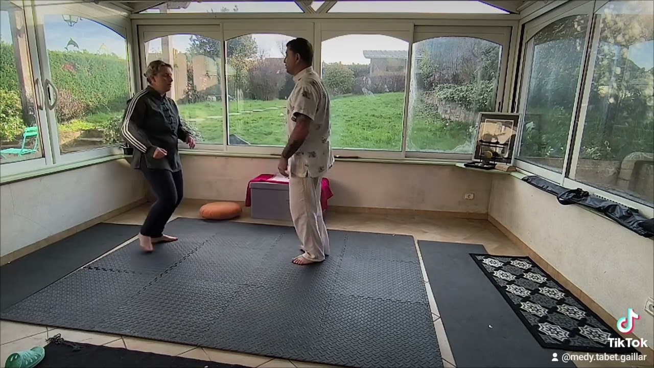 Taï Chi Chuan Qi Gong style Chen application martiale