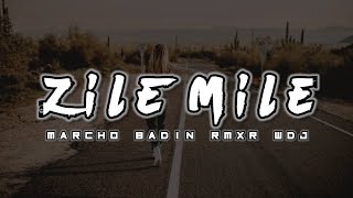 Lagu Viral Tiktok_ZILE MILE_-_Remix By_(Marcho Badin Rmxr WDJ)