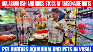 Aquarium Fish And Birds Pirce At Reasonable Rates | At Pet Buddies Aquarium And Pets Shop in Vasai