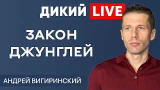 Тревожная динамика или словесный понос. Андрей Вигиринский. Дикий LIVE