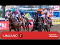20260530 IsiZulu Hollywoodbets Greyville Race 1 won by BANGKOK MAGIC