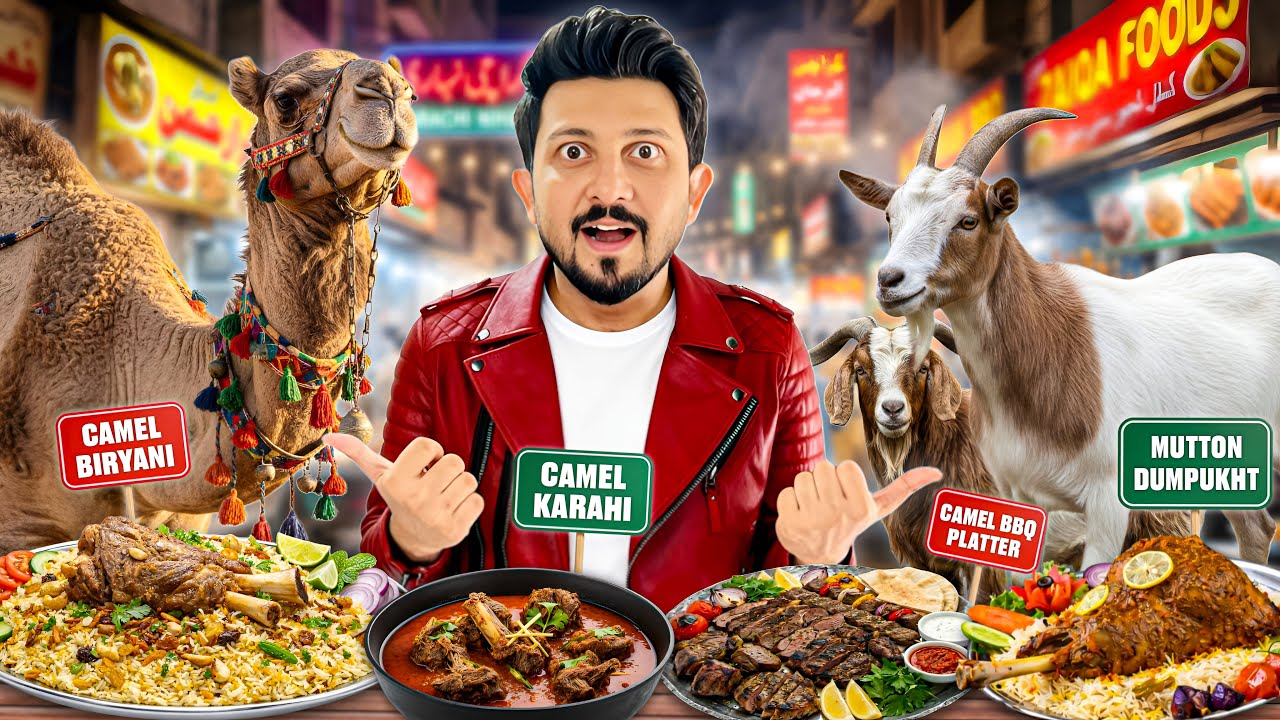 Exploring Newly Introduced Food Items in Karachi || Mutton Dumpukht , Camel Bbq Platter ✨