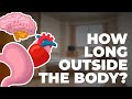 How Long Can An Organ Last Outside The Body?