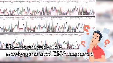 How to properly process and use newly generated DNA sequences
