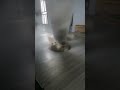 tornado