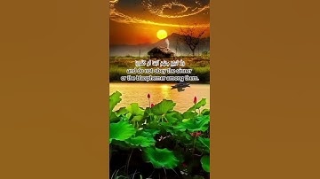 سورة الإنسان من الآية (٢٣) إلي الآية (٢٦) بصوت القاريء إسلام صبحي