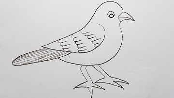 Sparrow drawing tutorial!! pencil drawing!! how to draw sparrow easy!! Art!! Bird drawing tutorial