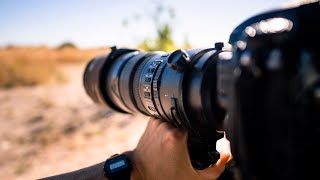 Nikon 300mm 2.8 VR II review, maybe the best budget SUPER TELEPHOTO for WILDLIFE PHOTOGRAPHY 2020!