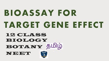 Bioassay For Target Gene Effect Tamil I Principles and Processes of Biotechnology IBotanyI Class 12