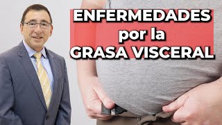 Las Enfermedades Ocultas Detrás de la Grasa Visceral - Dr. José Alvarado Solís by ViozonMexico 1,403 views 2 months ago 6 minutes, 9 seconds