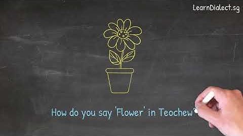 How do you say "Flower" in Teochew · Say What You See Video Series