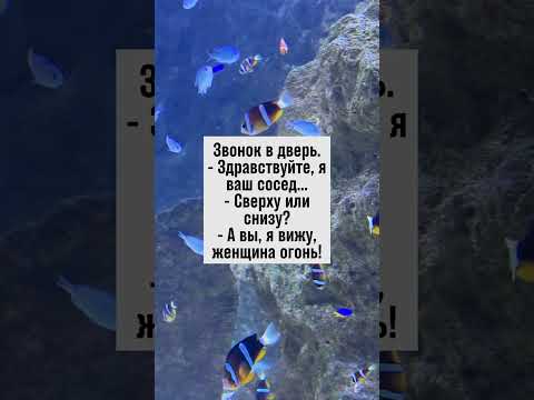 Сосед пришёл в гости: сверху или снизу? Пикантный анекдот! #юмор #соседи