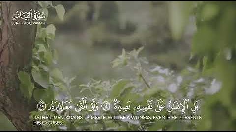 سورة القيامة تلاوة خاشعة ماشاء الله