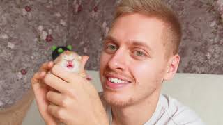 Медитация с котятами! Медитация с котятами!