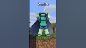 Reality of Elytra - minecraft animation #shorts