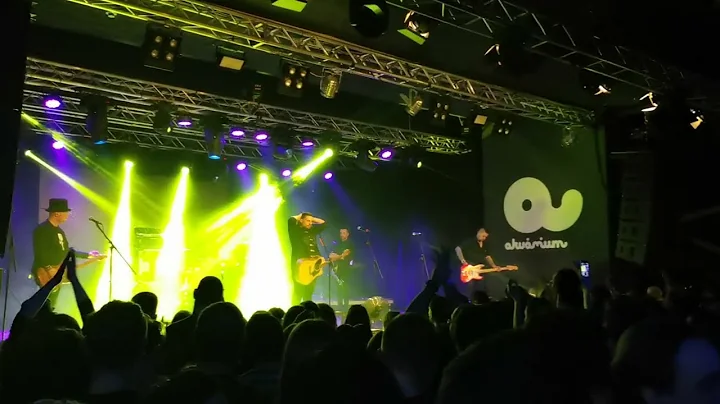 Paddy And The Rats - That's My Nature (2022.03.06. Bernie emlékkoncert, Akvárium)