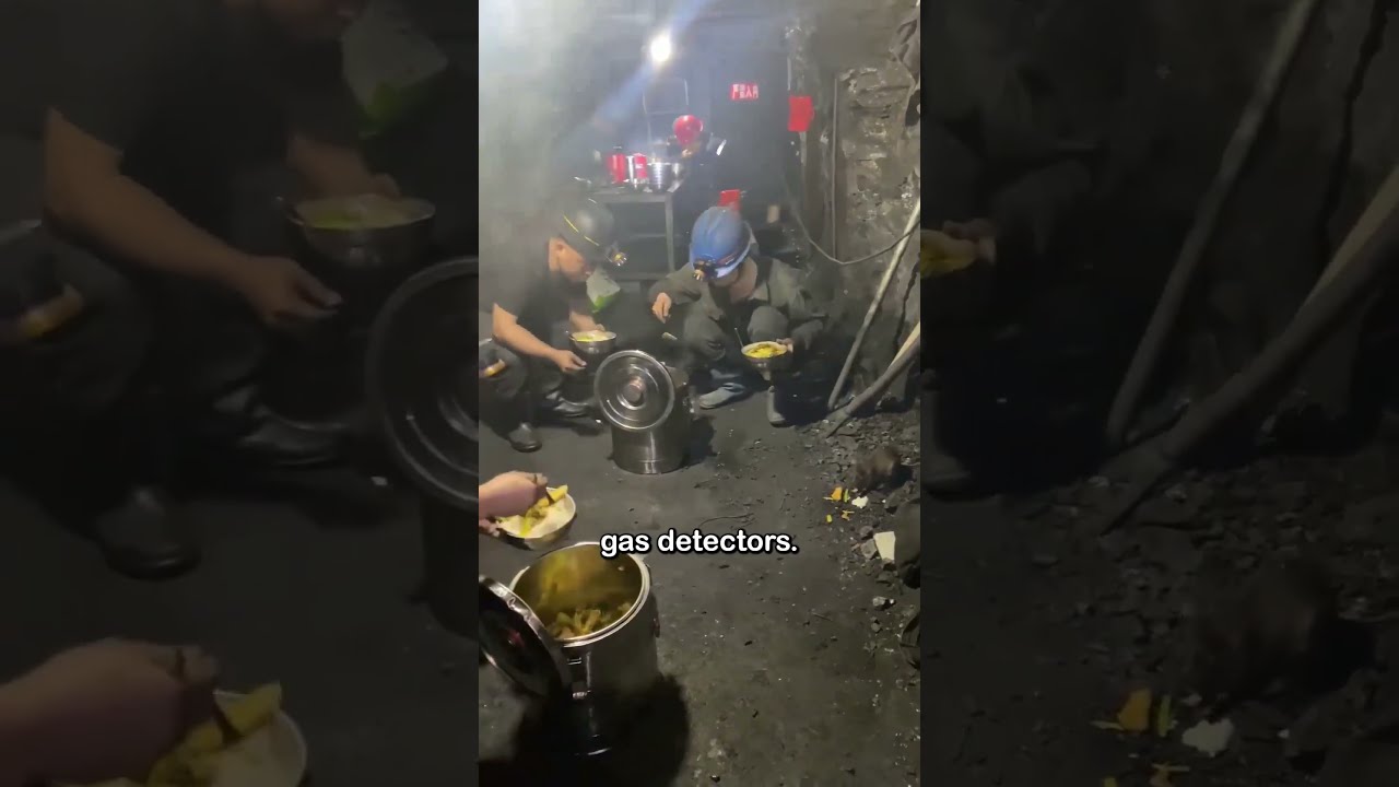 Believe It Or Not Miners Actually Treat Rats Like Coworkers Shorts