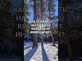 СВЯЗЬ С НЕВИДИМЫМ КОТОРУЮ МОЖНО УВИДЕТЬ #духи #колдовство #колдуны #правда #как #лайфхак #рецепты #я