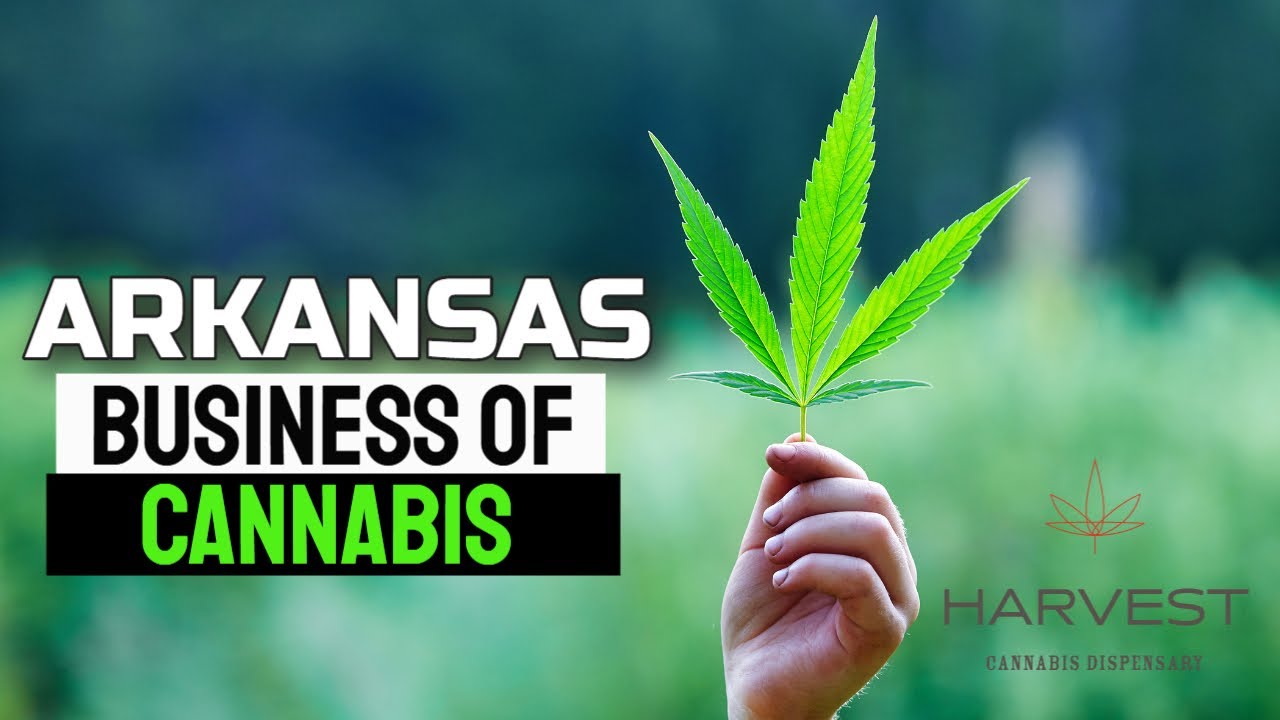 Arkansas Business of Cannabis Harvest Cannabis Dispensary Small