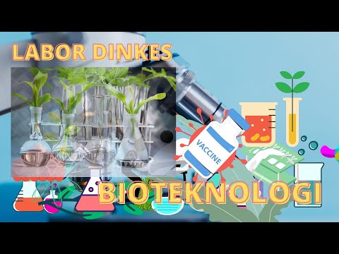 Video: Apakah prinsip asas bioteknologi?