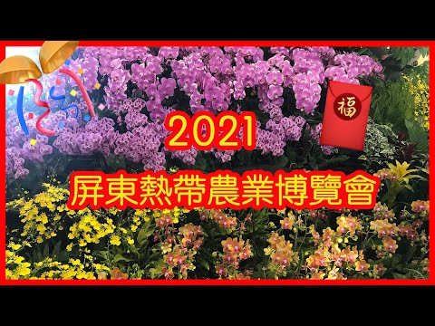 【2021 逛台灣花市】出外鬆一鬆！屏東農博！潮媽教煮