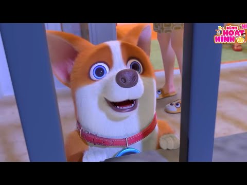 Ước Mơ Của Moco - Chú Chó Moco - Phim Hoạt Hình Chú Chó Moco Vui Nhộn Cho Bé