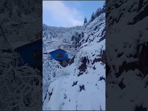 Snowfall in Kashmir |Heavy Snowfall in Kashmir|