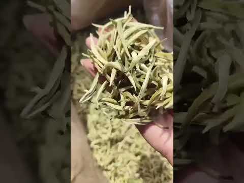 أوراق الشاي فضفاضة الجودة بالجملة من الصين