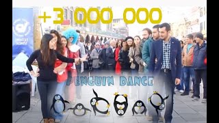 PENGUEN DANSI ...! (Çağdaş Gençlik Denizli Kan Bağışı Etkinliği Sonrası ) - Penguin Dance