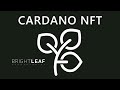 BrightLeaf Laboratories Guardians Cardano NFT