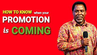 HOW TO KNOW WHEN YOUR PROMOTION IS COMING #tbjoshua #motivation #emmanueltv #trending by SCOAN INSPIRATION 4,823 views 2 weeks ago 4 minutes, 58 seconds