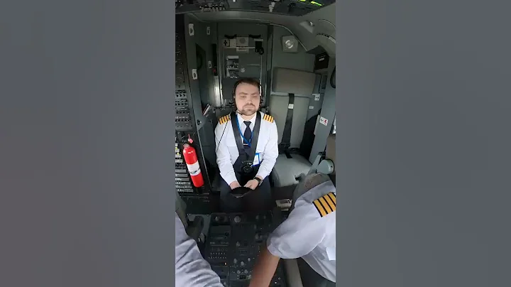Best cockpit landing video #Shorts - DayDayNews