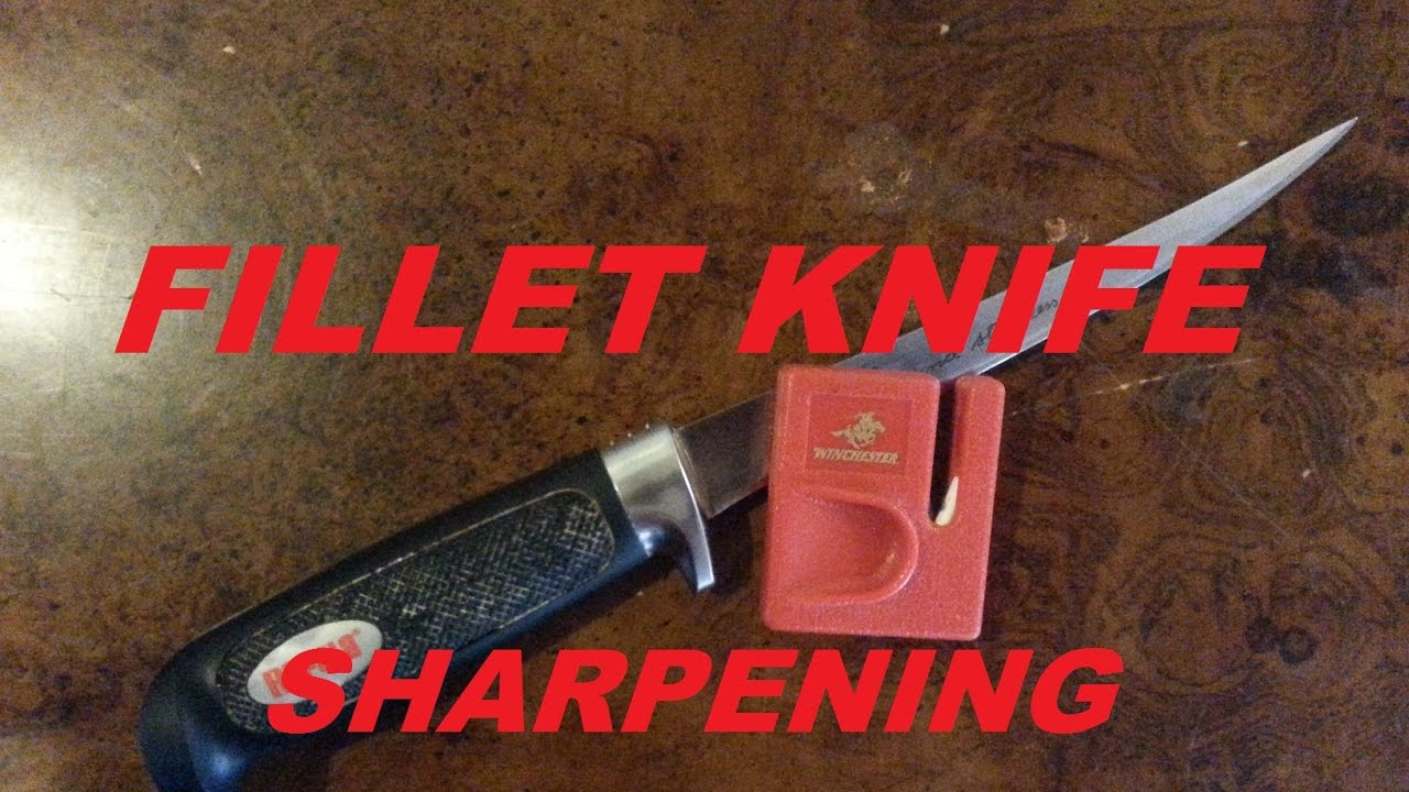 How To Sharpen a Fillet Knife: Easiest and Best Way To Keep a Razor Sharp  Edge on Your Blade 