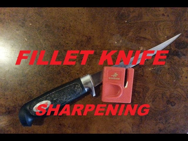 How to Sharpen Knives  Tips for Sharpening Fillet Knives – AFTCO