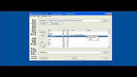 PDF Data Extractor - Simple Example