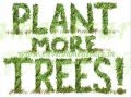dont cut trees plants more trees environmentcarein