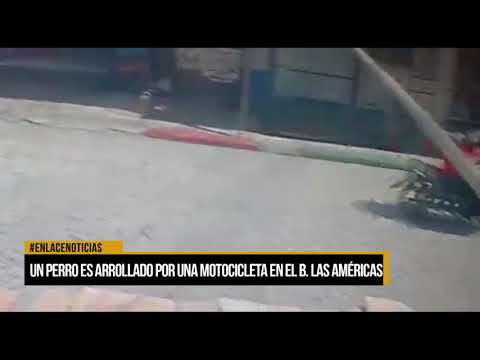 Un perro es arrollado por una motocicleta en el barrio Las Américas